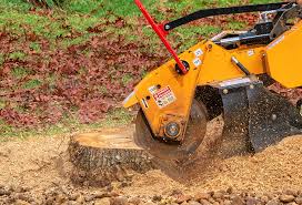 Best Lawn Maintenance Plans  in Pine Bush, NY