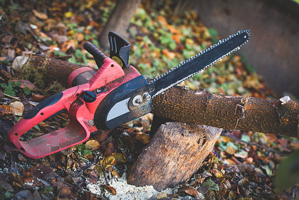 Best Aeration Services  in Pine Bush, NY